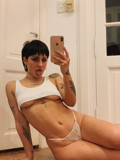 fans faits maison uniquement assez haute qualité photo