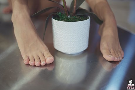 Erisverba sexe de star du porno archive