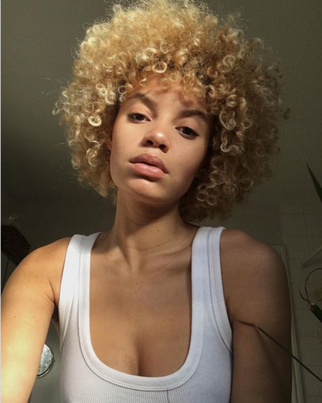 Lara never laura art de star du porno collection