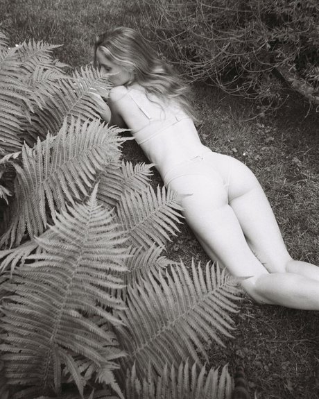 Maria Kn étoile de l'art galerie