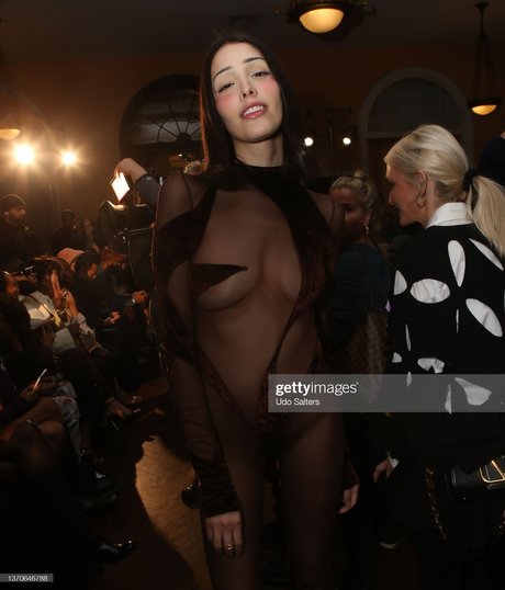 Zion Moreno sexe star du porno collection