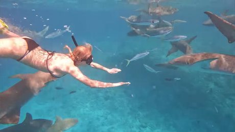 béance anale uniquementfans xxx nu image