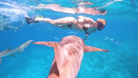 nu nu onlyfans chaud joli photo