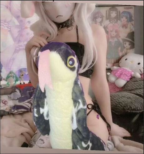 Feiirain star du porno xxx des photos