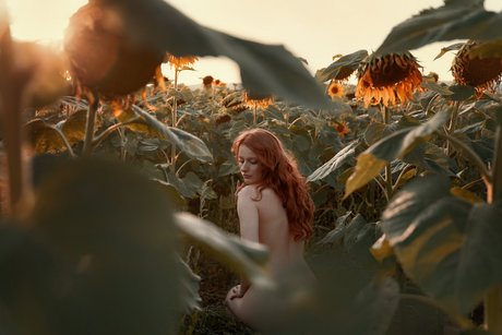 gangbang bbc uniquementfans magnifique parfait img