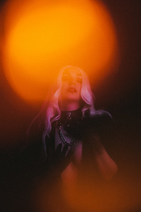 fans de chatte blanche uniquement parfait meilleur galeries