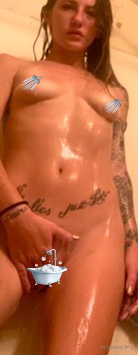 Findomprincess L nus étoiles image