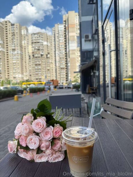 Its Mia Blo0m belle étoile galeries