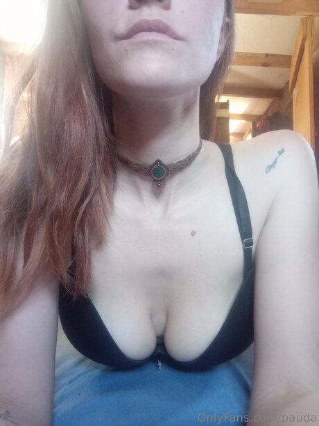 Pauda nus étoiles archive