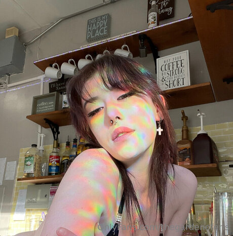 Poket Fairy star du porno adulte images