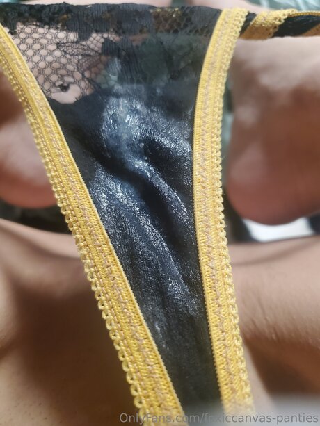 Foxiccanvas Pantyland belle actrice photo