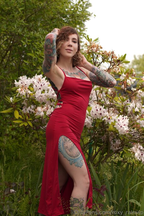 Roxy Rainvip art star du porno image