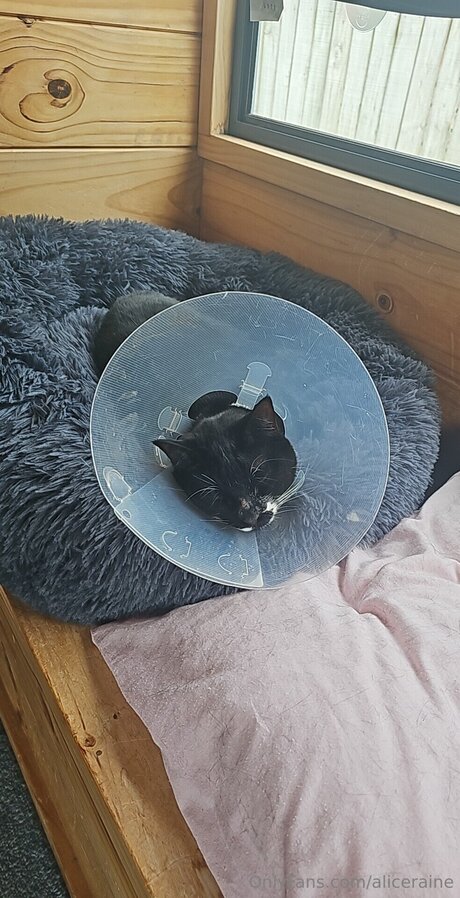 cowgirl milf uniquementfans nu pornographique photos