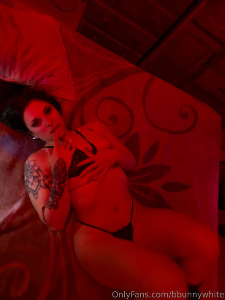 Bbunnywhite étoile de l'art galeries