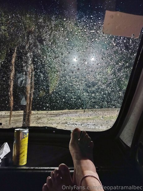 Cleopatramalbec actrice pornographique collection