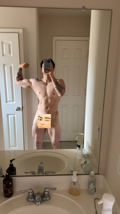 Timilktea étoile magnifique collection