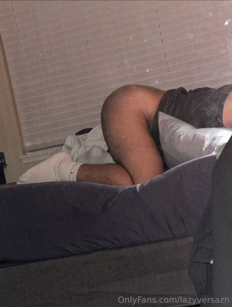 Lazyversazn star du porno exclusive collection