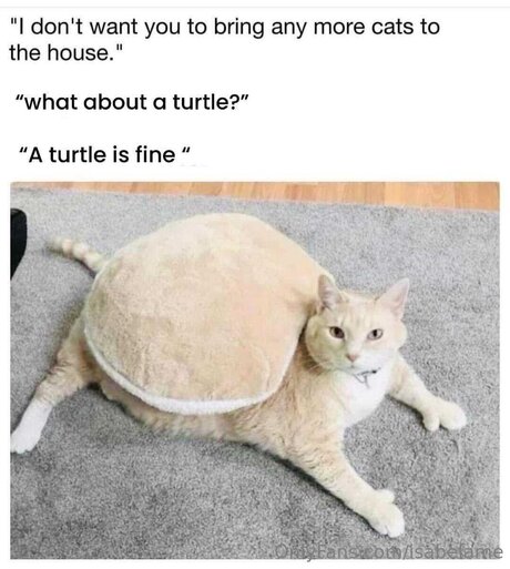 Isabelame actrice pornographique archive