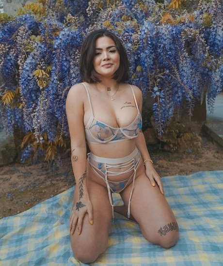 Michellen Cristina étoile magnifique collection