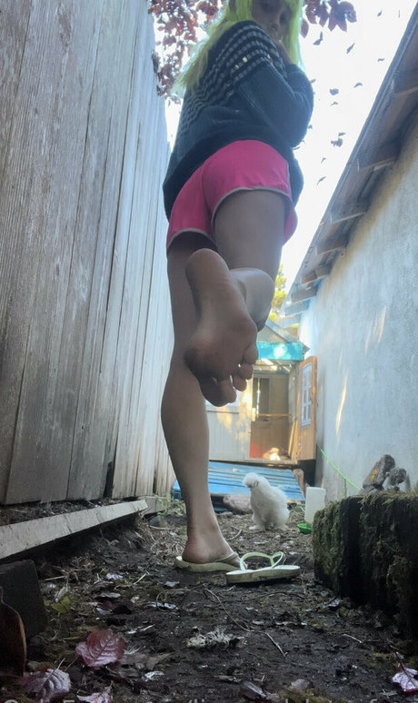 lizgizzardfree actrice image