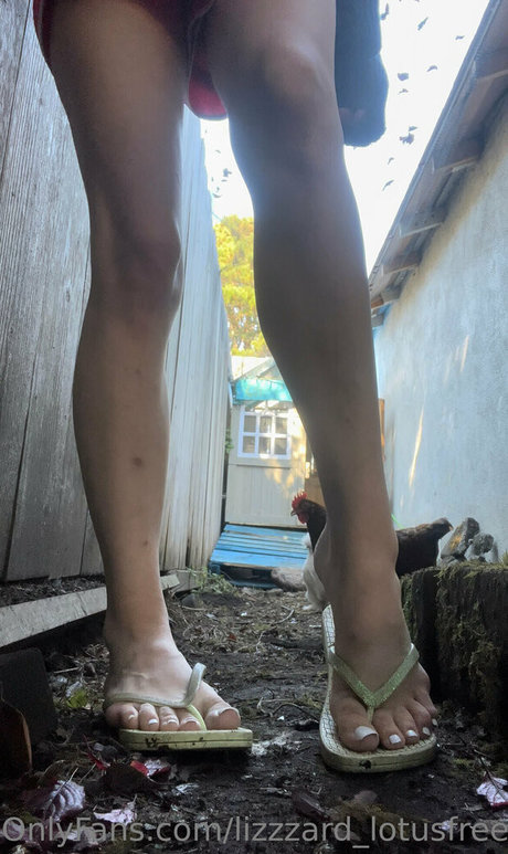 lizgizzardfree belle actrice photos