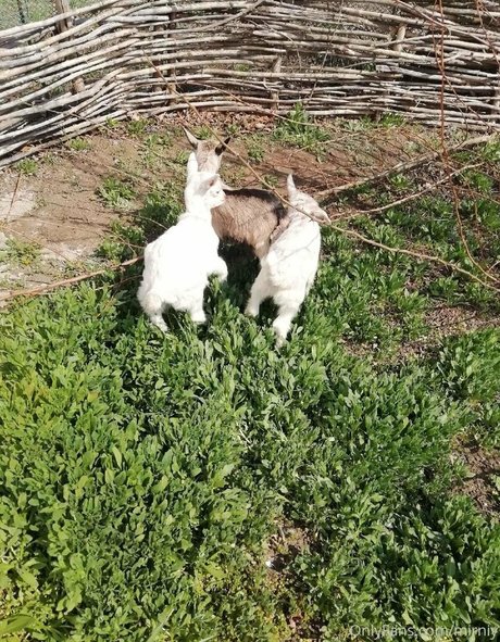 bikini ado onlyfans chaud de haute qualité photos