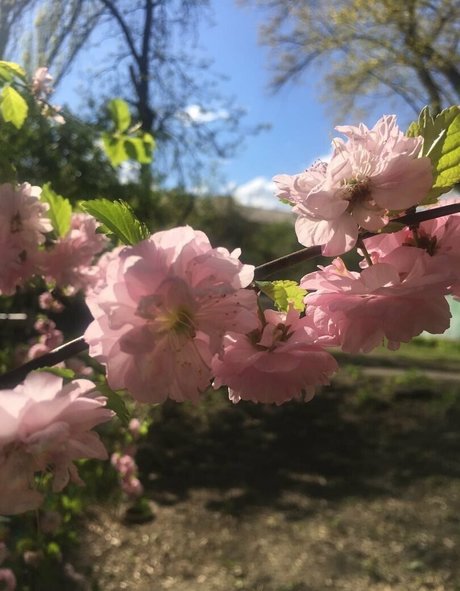 giclée mature uniquementfans porno hd collection