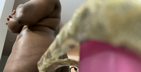 méga fans uniquement chaud belle images