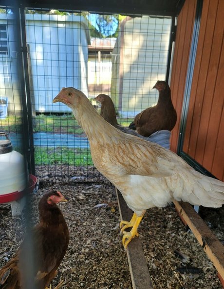 fans asiatiques célèbres chaud xxx galerie