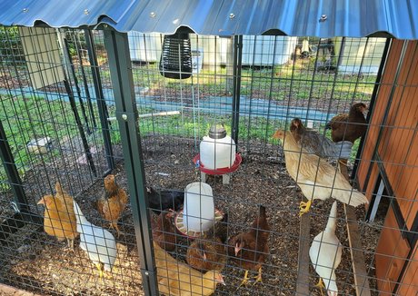 fans trans noirs uniquement meilleur art img