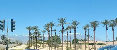 stellaaeternum modèles nus image