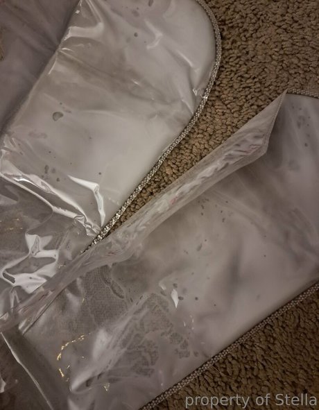 stellaaeternum nus star du porno galerie