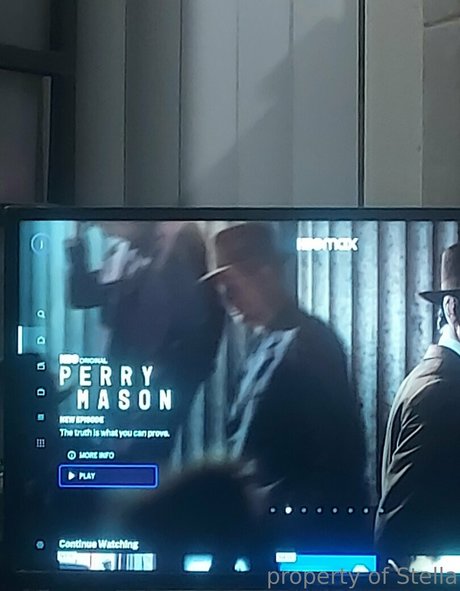 stellaaeternum meilleur modèle archive