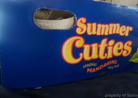 anime babe onlyfans sexy chaud images