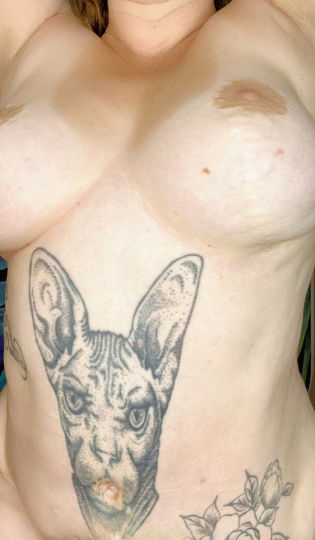 Kisica modèle de sexe collection