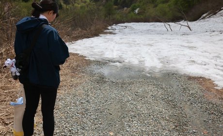 shizukachan0701 nus star du porno image