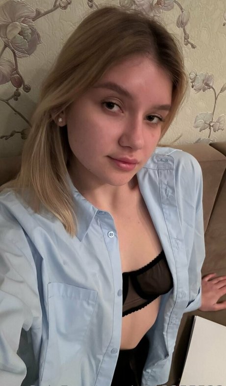 pervokursnica étoile de l'art image