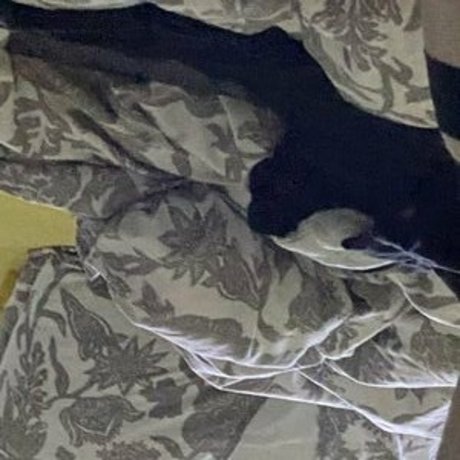 gros seins branlette espagnole onlyfans plutôt parfait image