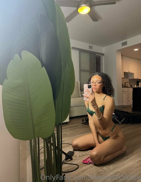 theperfectkitty étoile xxx img