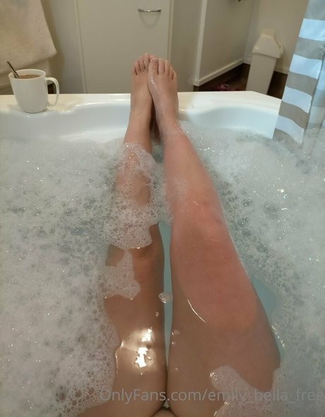 fans uniquement du dmv bel art archive