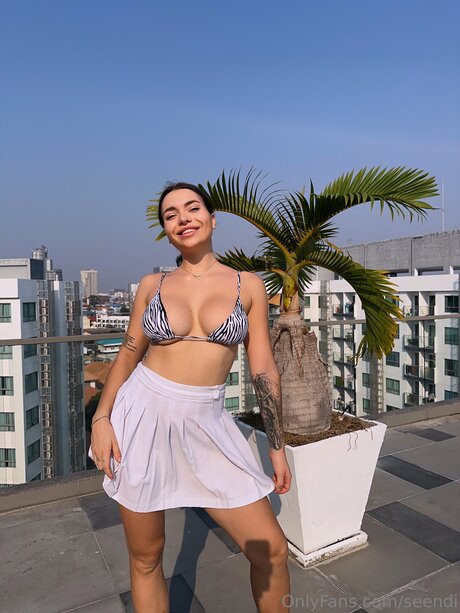 Seendi star du porno collection