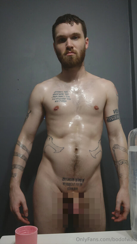 Bodofwar étoile magnifique img