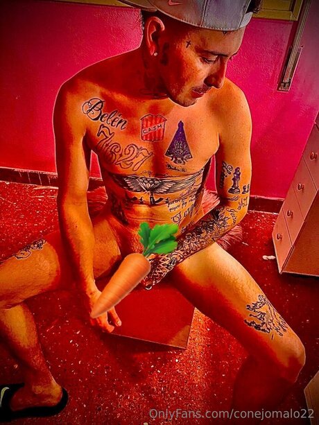 Conejomalo22 star exclusive photo