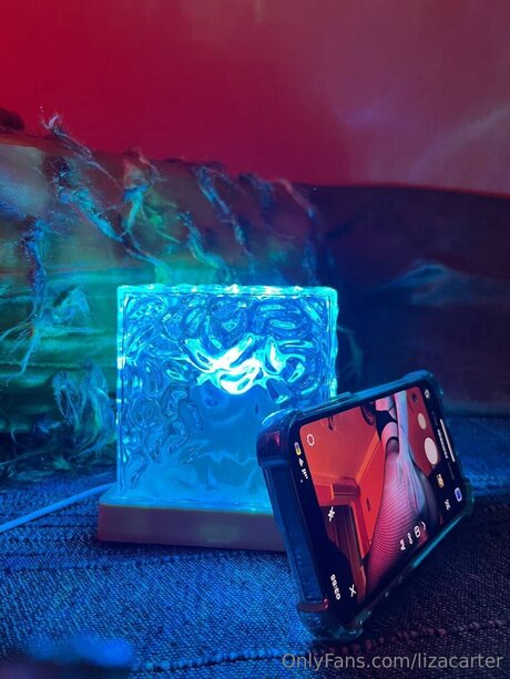 Lizacarter modèle adulte collection