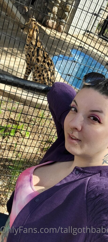 Tallgothbabe14 actrice adulte photos