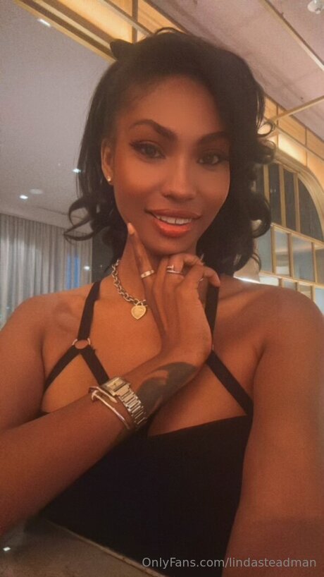 Lindasteadman art star du porno images