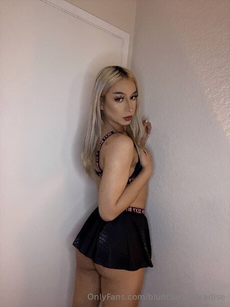 Bluntsandparadise étoile chaude img