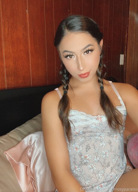 Bluntsandparadise art star du porno image