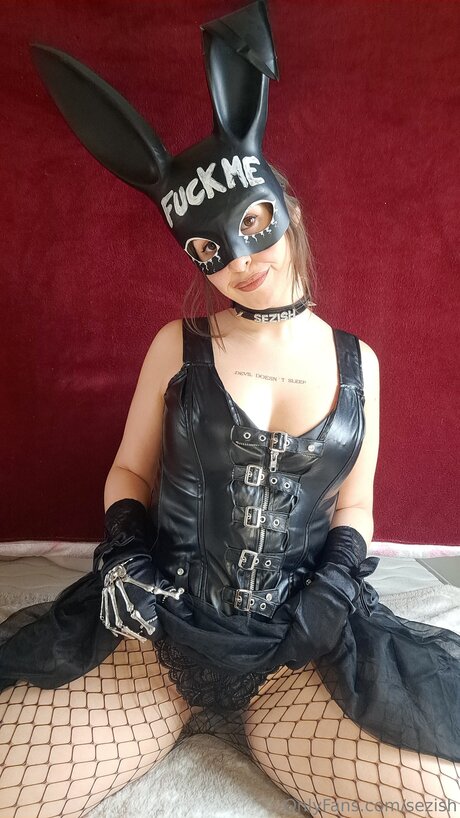 Sezish étoile parfaite galeries