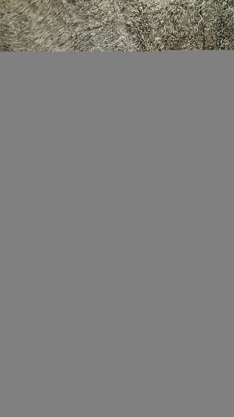 Sezish belle star du porno images